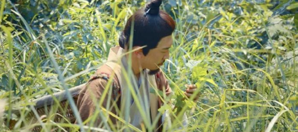 百芝堂白鲨目标调理的调理过程是怎么的？